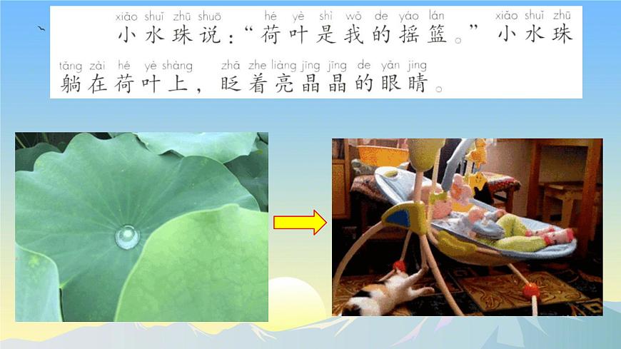 小学语文统编版（2024）一年级下册6.12 荷叶圆圆 课件第7页