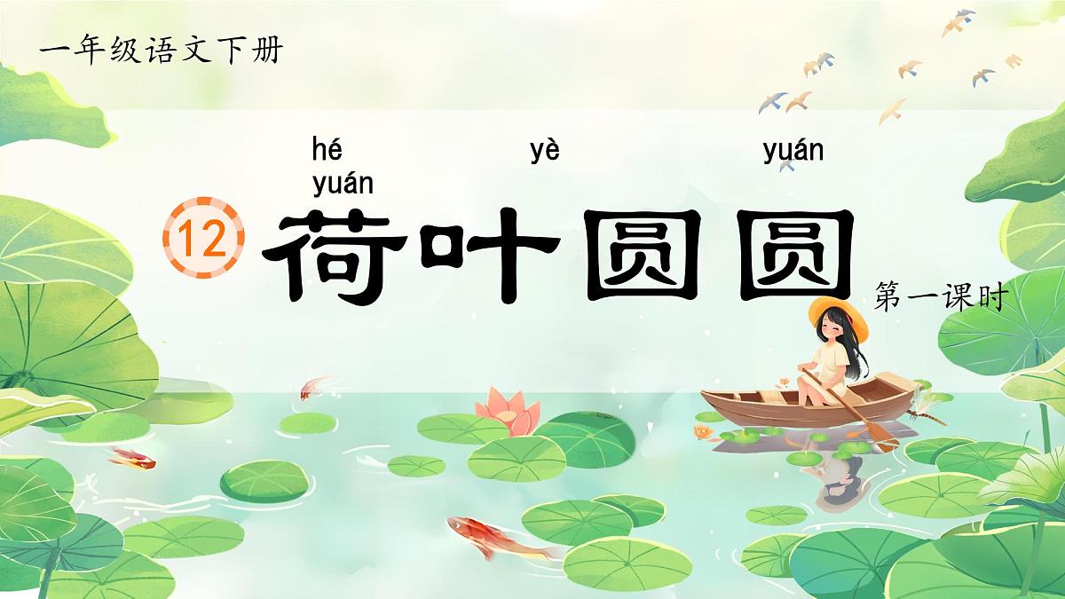 小学语文统编版（2024）一年级下册6.12 荷叶圆圆 课件第1页