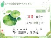 小學(xué)語文統(tǒng)編版（2024）一年級下冊6.12 荷葉圓圓 課件