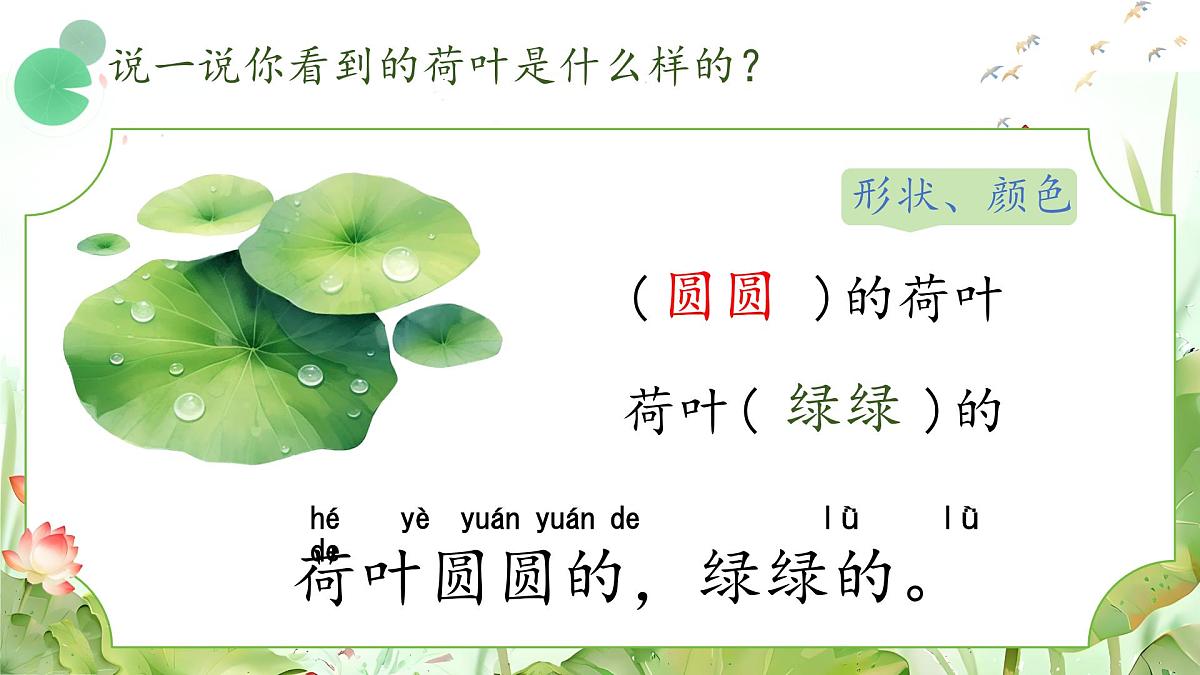 小学语文统编版（2024）一年级下册6.12 荷叶圆圆 课件第3页