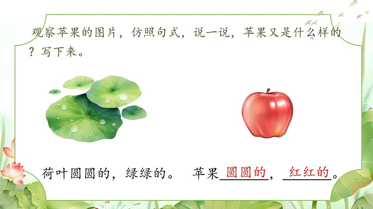 小学语文统编版（2024）一年级下册6.12 荷叶圆圆 课件第4页