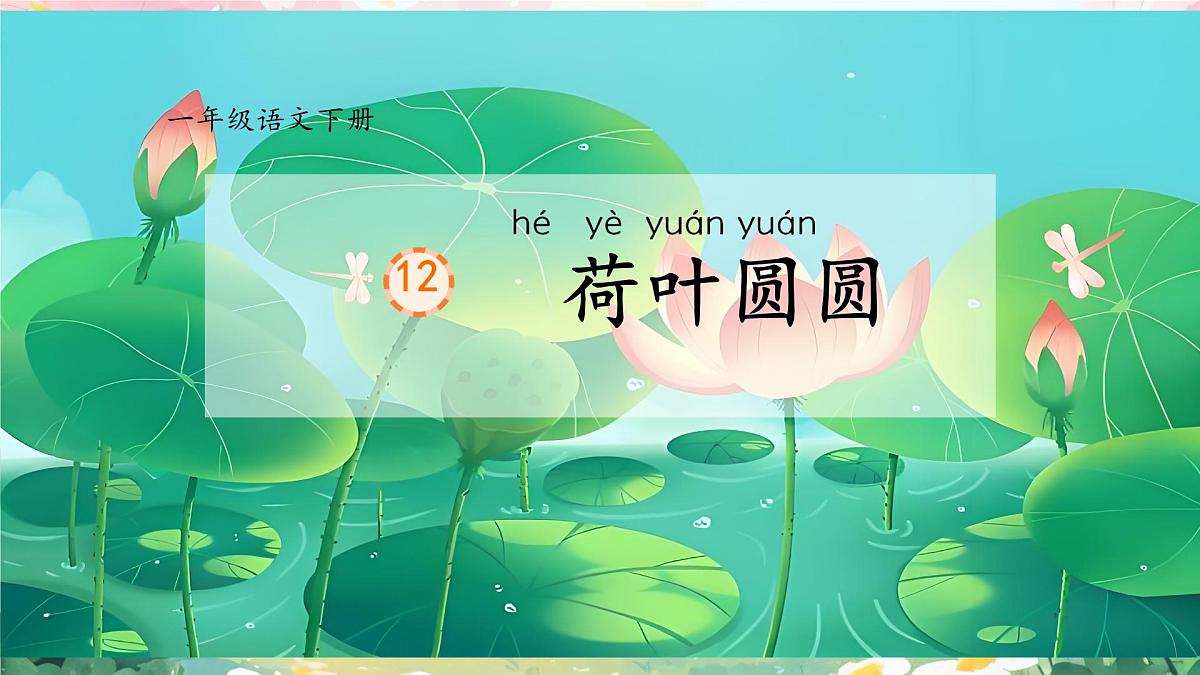 小学语文统编版（2024）一年级下册6.12 荷叶圆圆 课件第1页