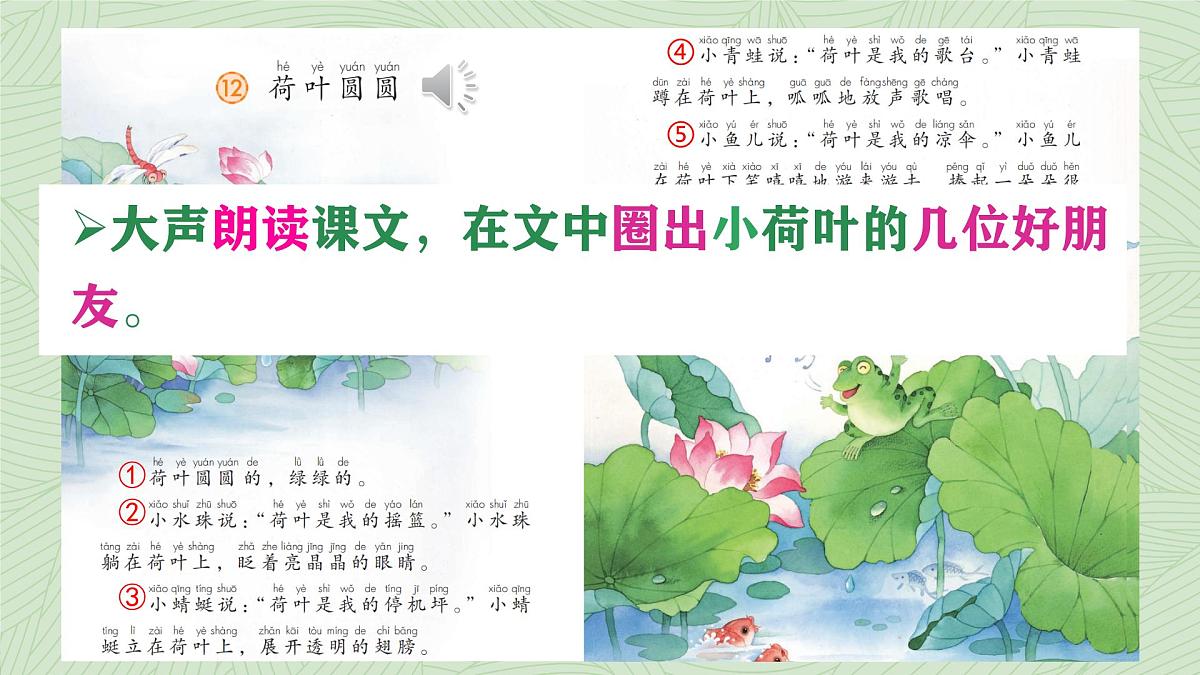 小学语文统编版（2024）一年级下册6.12 荷叶圆圆 课件第2页