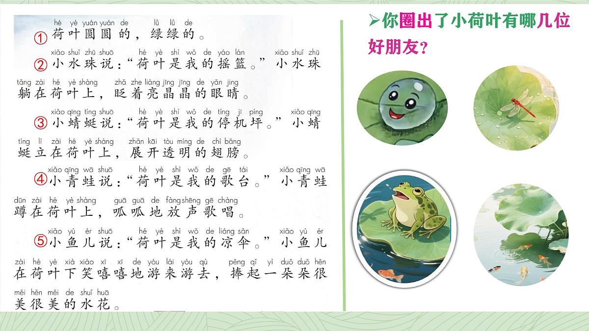 小学语文统编版（2024）一年级下册6.12 荷叶圆圆 课件第3页