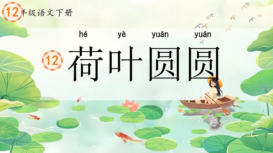 小学语文统编版（2024）一年级下册6.12 荷叶圆圆 课件第1页