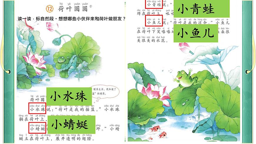 小学语文统编版（2024）一年级下册6.12 荷叶圆圆 课件第2页