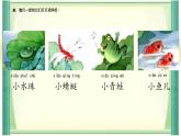 小學(xué)語文統(tǒng)編版（2024）一年級下冊6.12 荷葉圓圓 課件