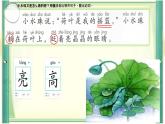 小學(xué)語文統(tǒng)編版（2024）一年級下冊6.12 荷葉圓圓 課件