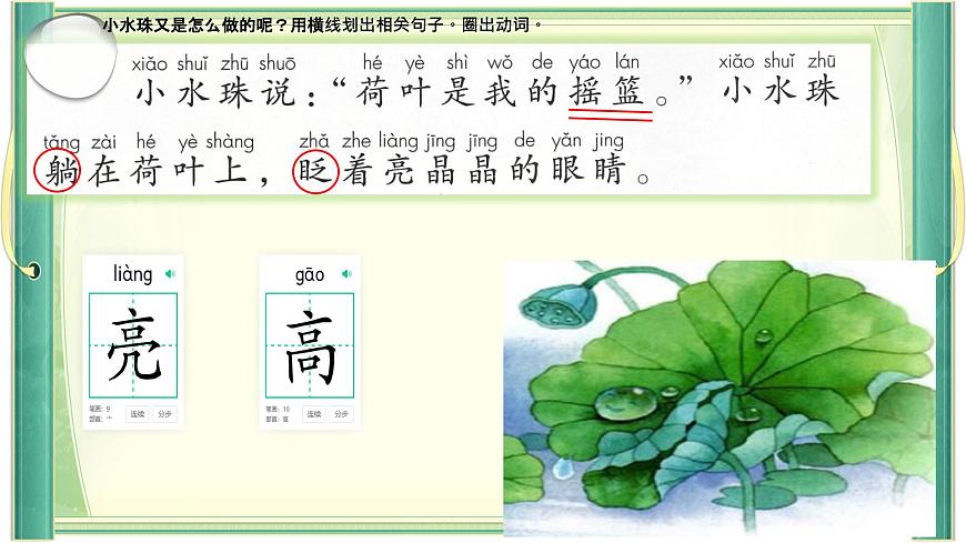小学语文统编版（2024）一年级下册6.12 荷叶圆圆 课件第5页