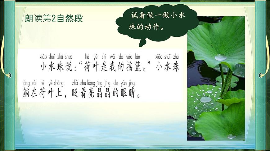 小学语文统编版（2024）一年级下册6.12 荷叶圆圆 课件第6页