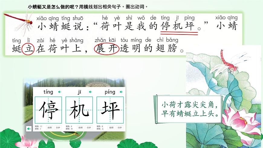 小学语文统编版（2024）一年级下册6.12 荷叶圆圆 课件第7页