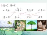 小學(xué)語文統(tǒng)編版（2024）一年級下冊6.12 荷葉圓圓 課件
