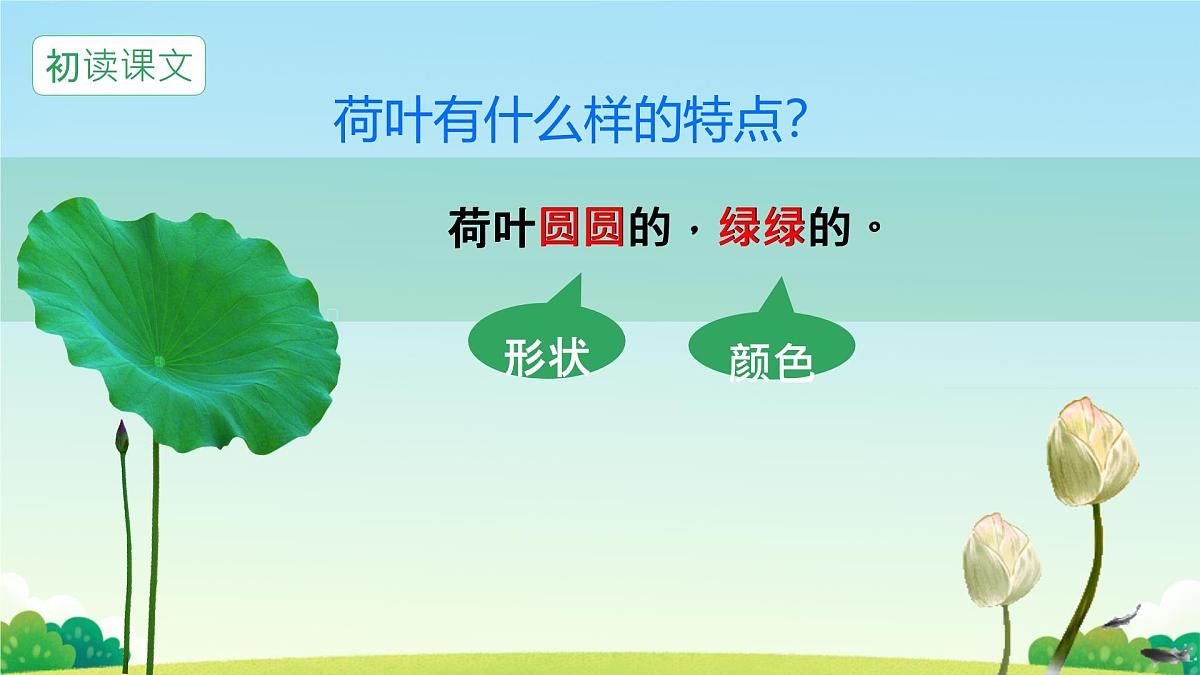 小学语文统编版（2024）一年级下册6.12 荷叶圆圆 课件第6页