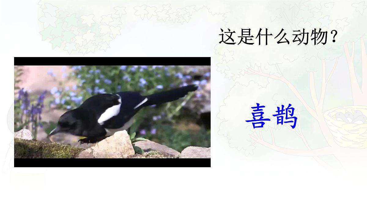 统编版二年级语文下册课件《9 枫树上的喜鹊》第5页