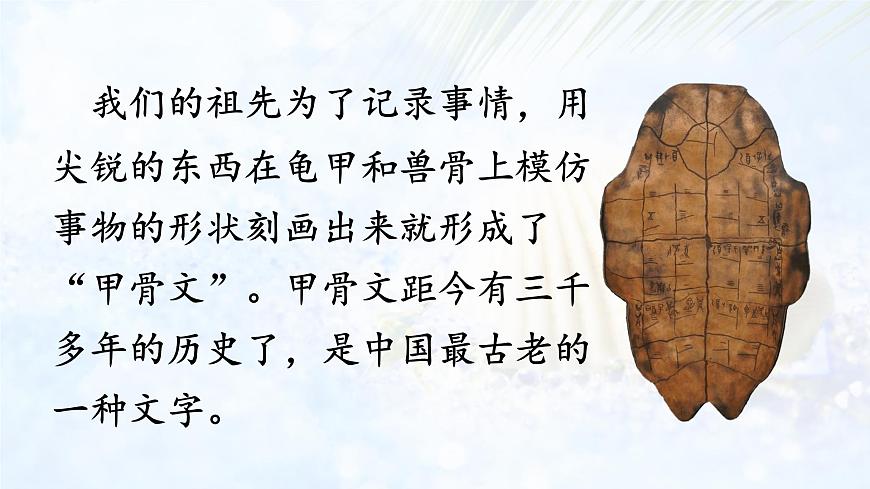 统编版二年级语文下册课件《3 “贝”的故事》第6页