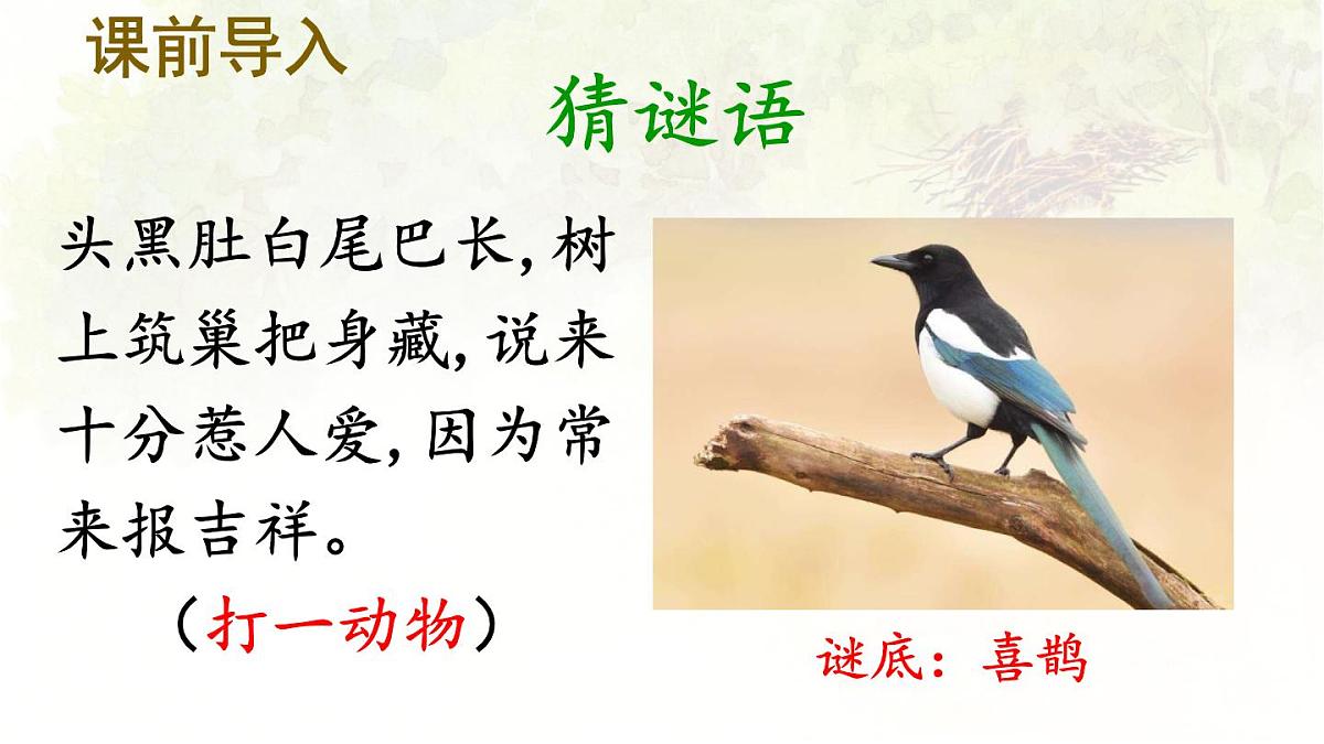 统编版二年级语文下册教学课件《9 枫树上的喜鹊》第2页