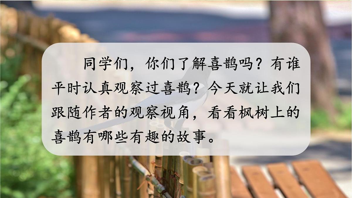 统编版二年级语文下册教学课件《9 枫树上的喜鹊》第3页