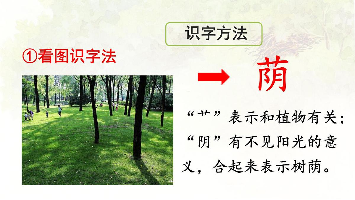 统编版二年级语文下册教学课件《9 枫树上的喜鹊》第7页