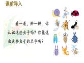统编版二年级语文下册教学课件《11 我是一只小虫子》