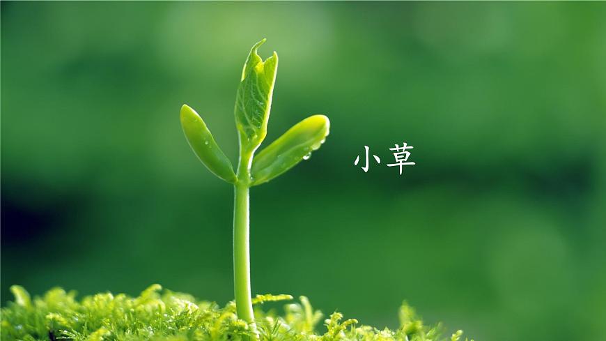 统编版二年级语文下册课件《2 找春天》第5页