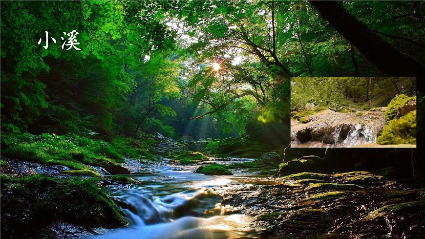 统编版二年级语文下册课件《2 找春天》第8页