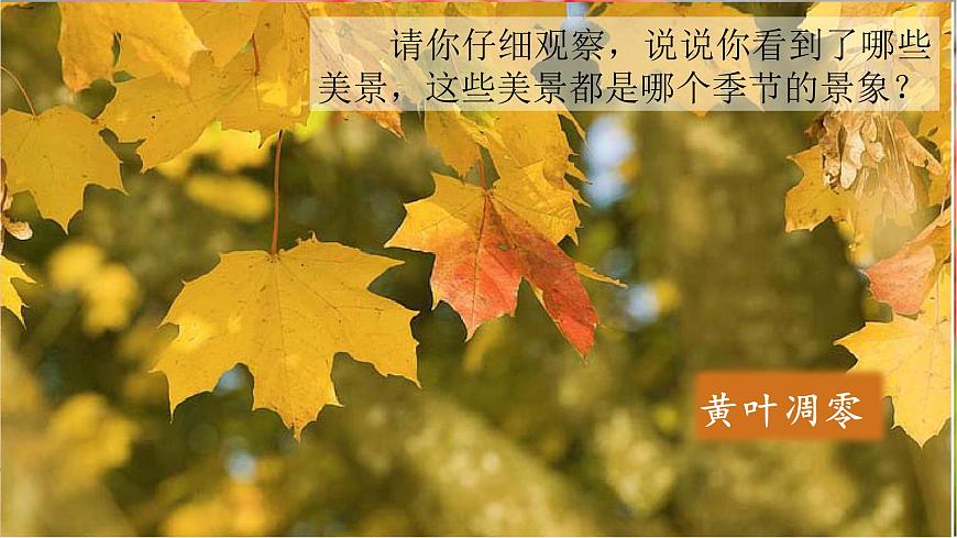 （教学课件）课文1 秋天第1页