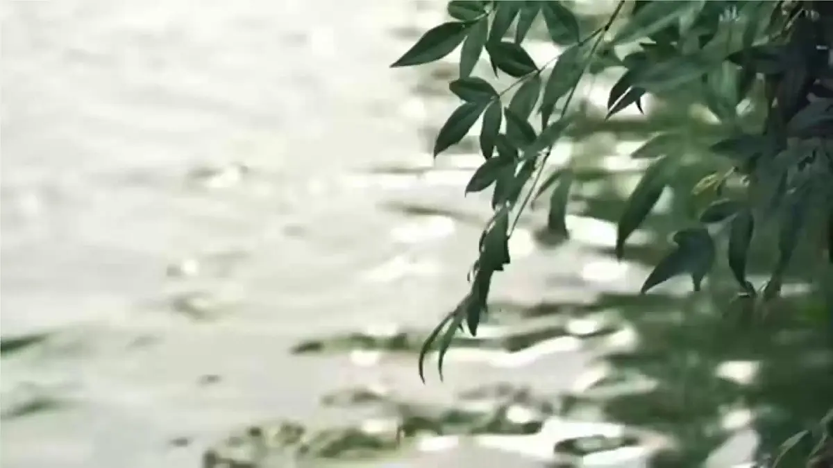 （教学课件）课文2 江南第1页