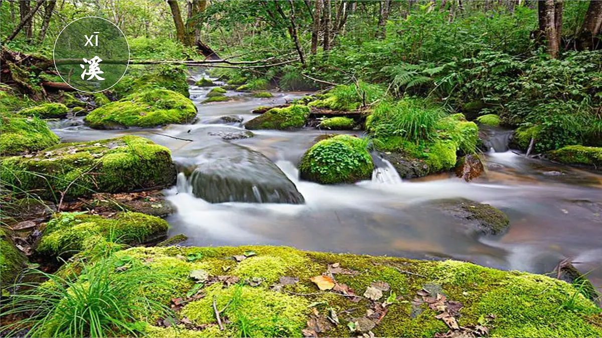 （教学课件）课文2 江南第3页