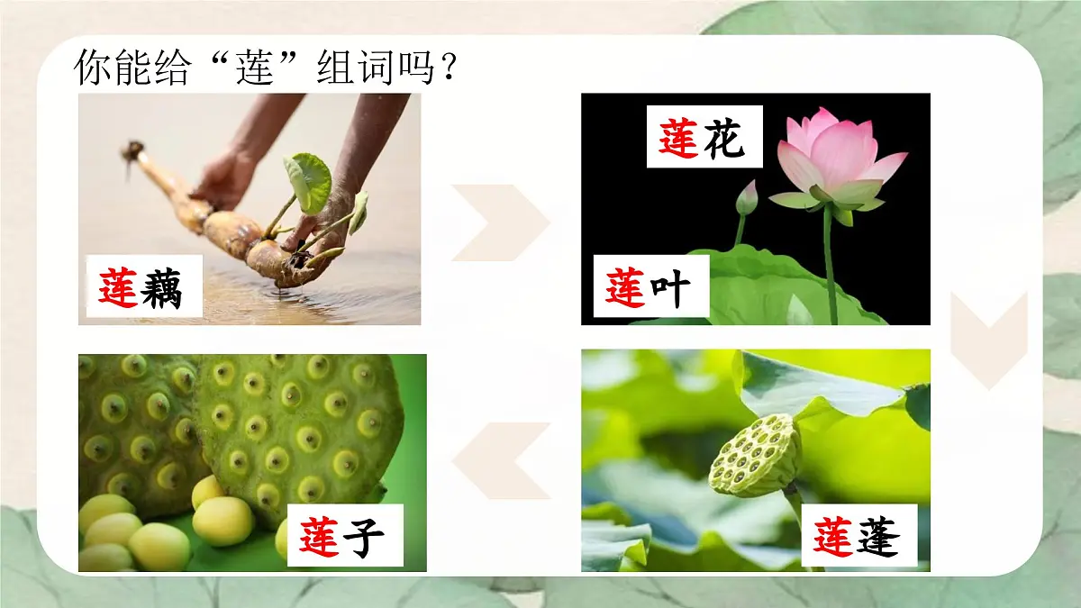 （教学课件）课文2 江南第8页