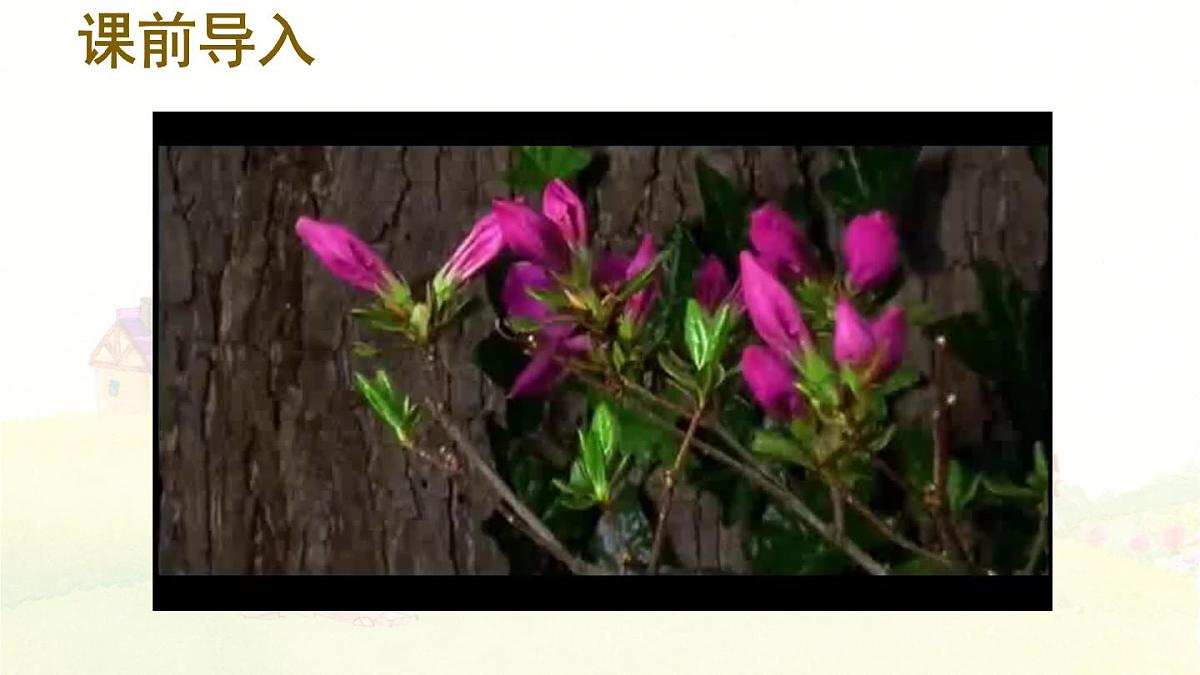 统编版小学二年级语文下册《3 开满鲜花的小路》课件第2页