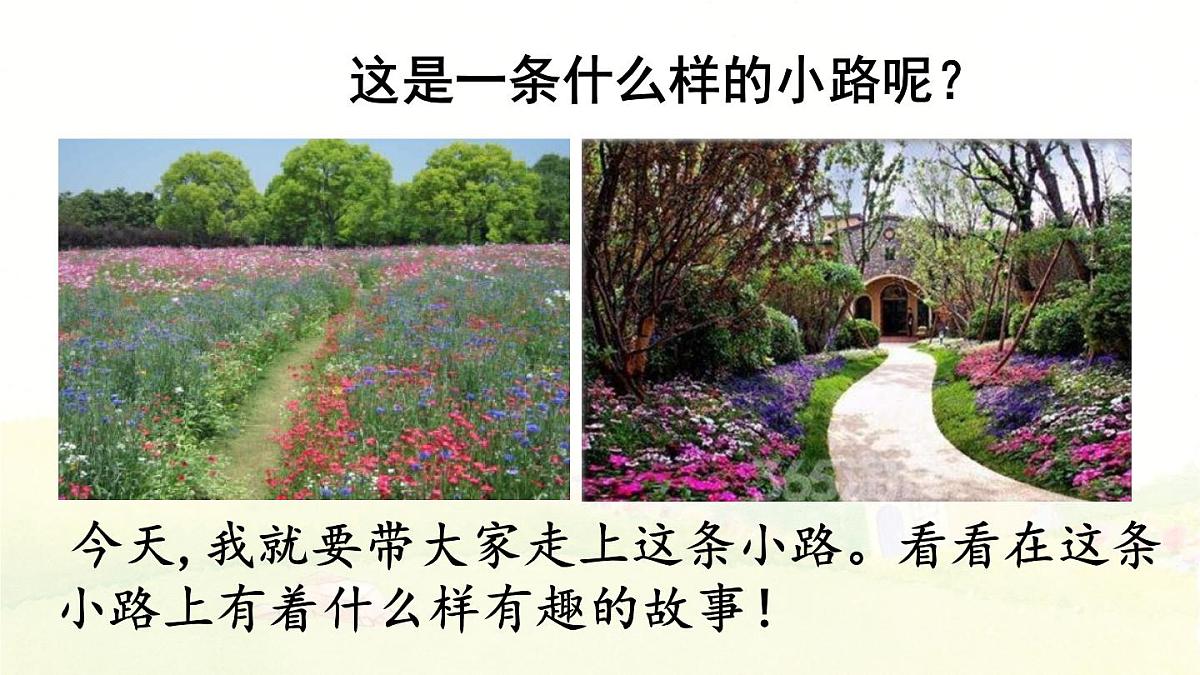 统编版小学二年级语文下册《3 开满鲜花的小路》课件第3页