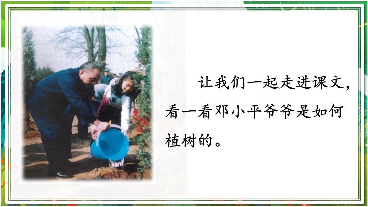 统编版小学二年级语文下册《4 邓小平爷爷植树》课件第3页