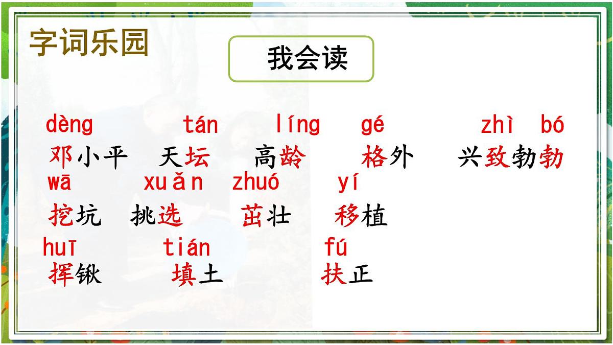 统编版小学二年级语文下册《4 邓小平爷爷植树》课件第7页