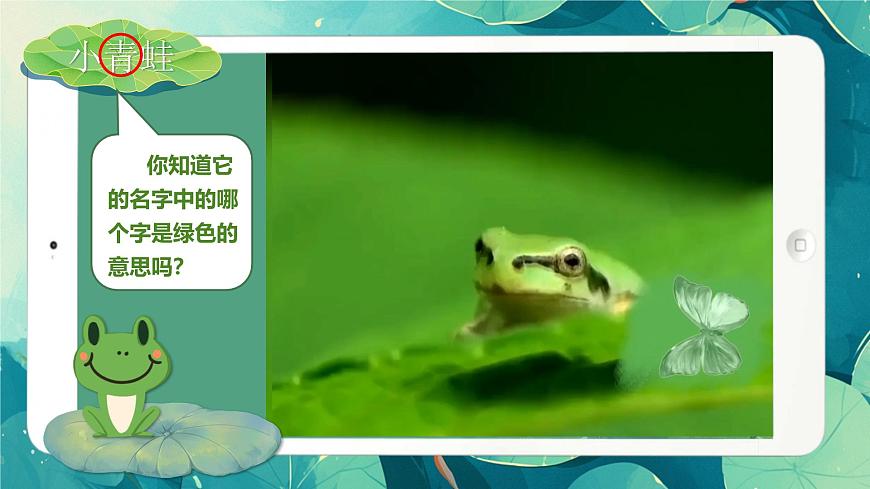 部编版2025一年级下册语文3《小青蛙》 课件第6页