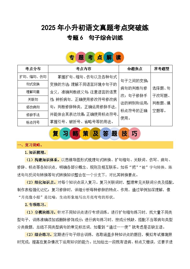 2025年小升初语文考点突破训练专题6句子综合训练（教师版）第1页