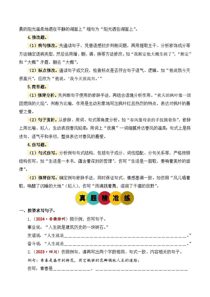 2025年小升初语文考点突破训练专题6句子综合训练（学生版）第3页