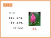 【新教材核心素養(yǎng)】部編版語(yǔ)文一下課文10《古詩(shī)二首 小池》（教學(xué)課件+教學(xué)設(shè)計(jì)+分層作業(yè)+學(xué)習(xí)任務(wù)單）