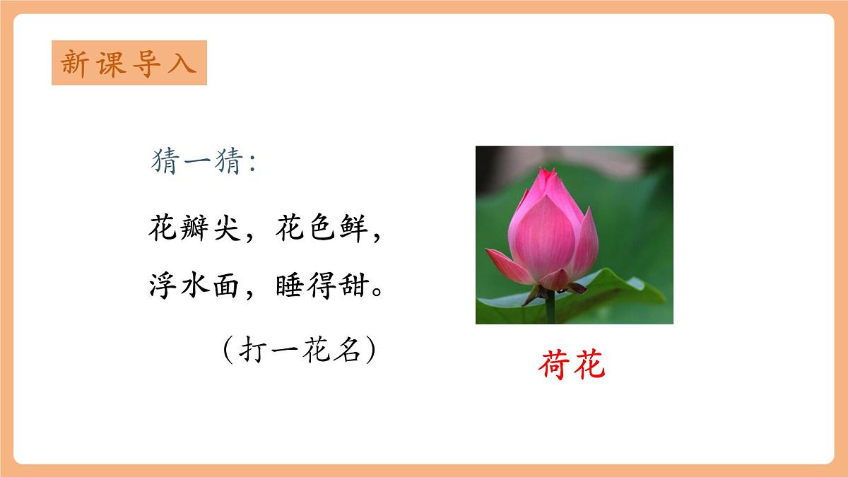 课文10《古诗二首 小池》（教学课件）第3页