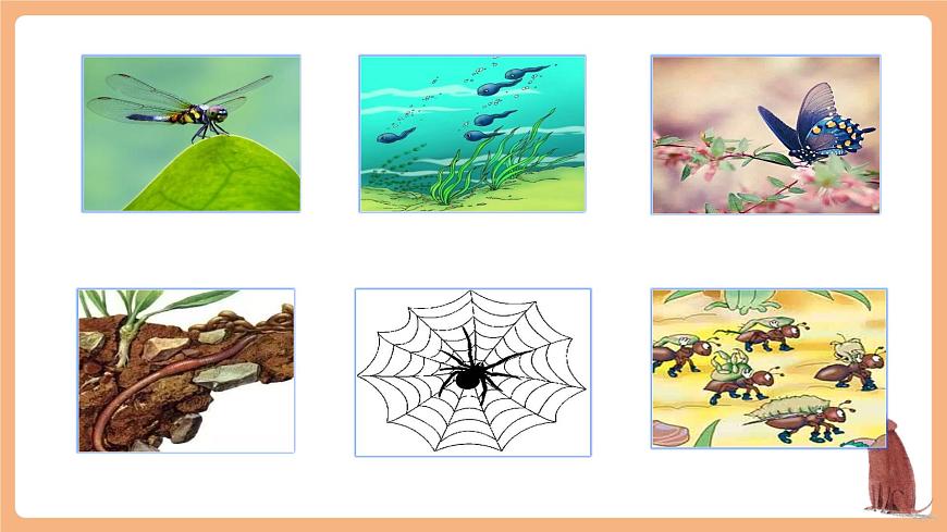 识字5《动物儿歌》（教学课件）第3页