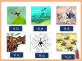 【新教材核心素養(yǎng)】部編版語文一下識(shí)字5《動(dòng)物兒歌》（教學(xué)課件+教學(xué)設(shè)計(jì)+分層作業(yè)+學(xué)習(xí)任務(wù)單）含答案