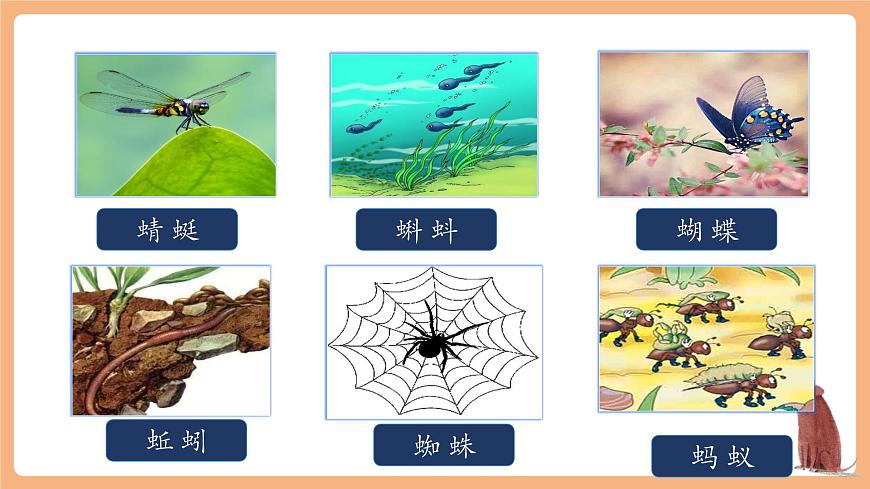 识字5《动物儿歌》（教学课件）第4页