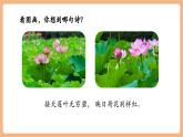 【新教材核心素養(yǎng)】部編版語文一下課文12《荷葉圓圓》（教學(xué)課件+教學(xué)設(shè)計+分層作業(yè)+學(xué)習(xí)任務(wù)單）