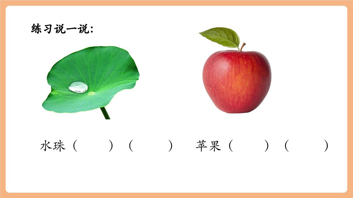 课文12《荷叶圆圆》（教学课件）第6页