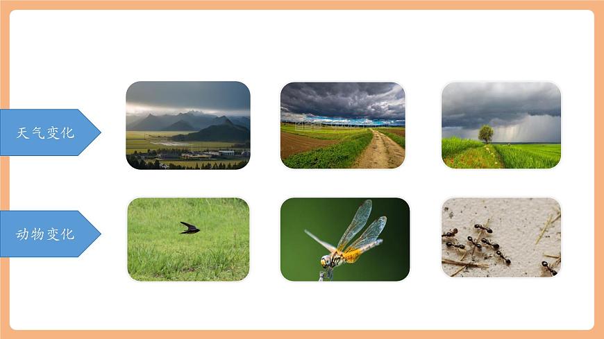 课文13《要下雨了》（教学课件）第4页