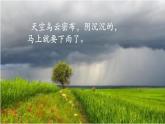 【新教材核心素養(yǎng)】部編版語文一下課文13《要下雨了》（教學(xué)課件+教學(xué)設(shè)計(jì)+分層作業(yè)+學(xué)習(xí)任務(wù)單）