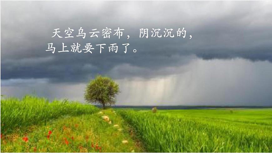 课文13《要下雨了》（教学课件）第5页