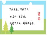 统编版小学语文六年级上册16《夏天里的成长》课件