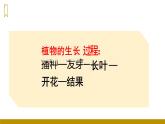 四川省眉山市東坡區(qū)特殊教育學(xué)校2023—2024年統(tǒng)編版二年級(jí)上冊(cè)語(yǔ)文13《我要的是葫蘆》課件