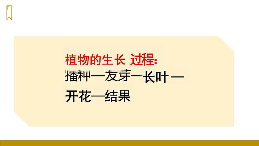 四川省眉山市东坡区特殊教育学校2023—2024年统编版二年级上册语文13《我要的是葫芦》课件第1页