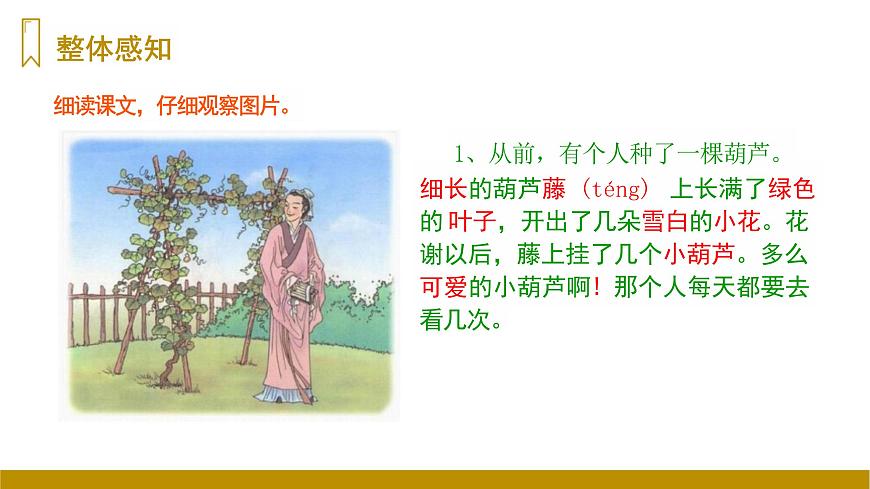 四川省眉山市东坡区特殊教育学校2023—2024年统编版二年级上册语文13《我要的是葫芦》课件第6页
